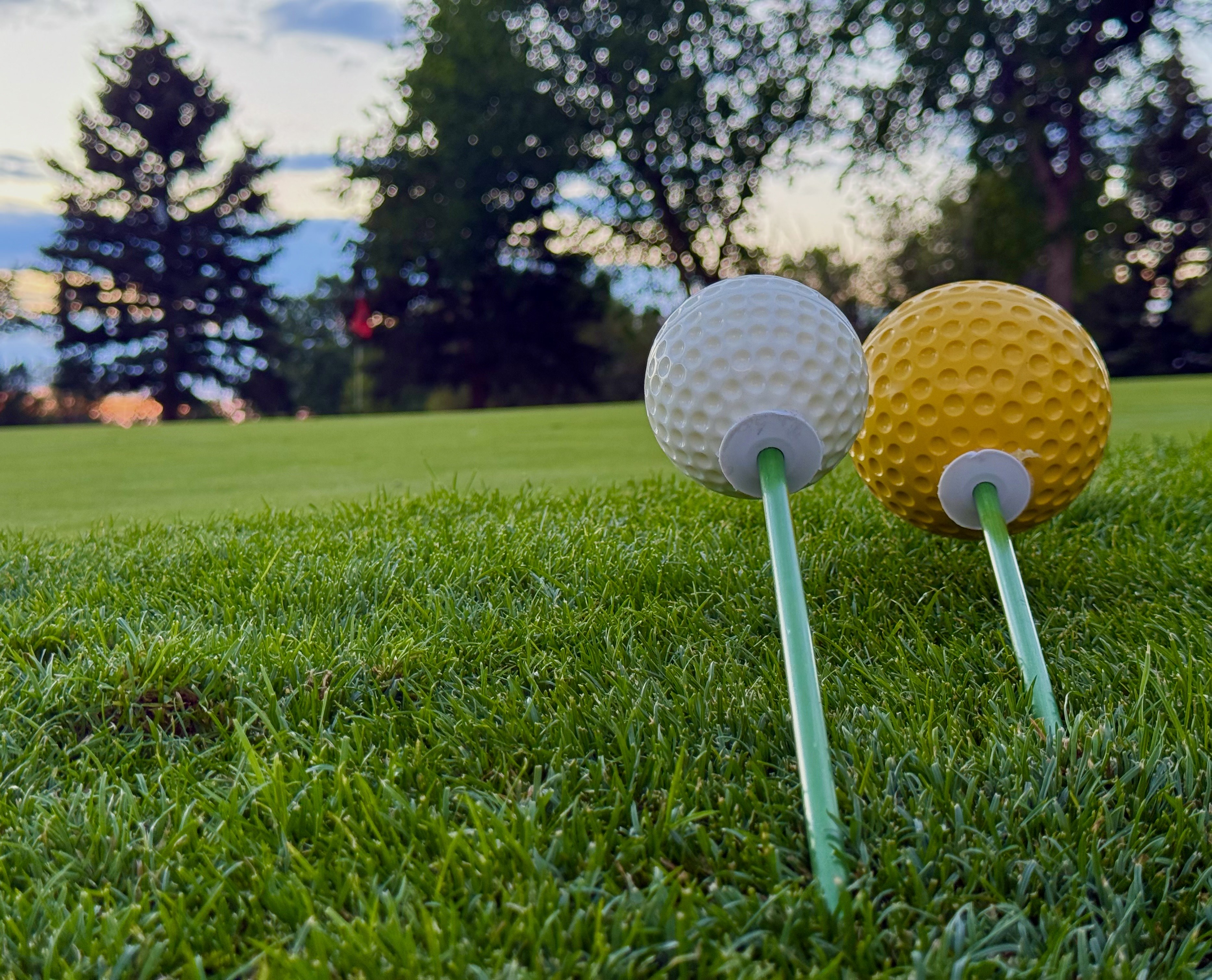 Impact Zone Pro training balls