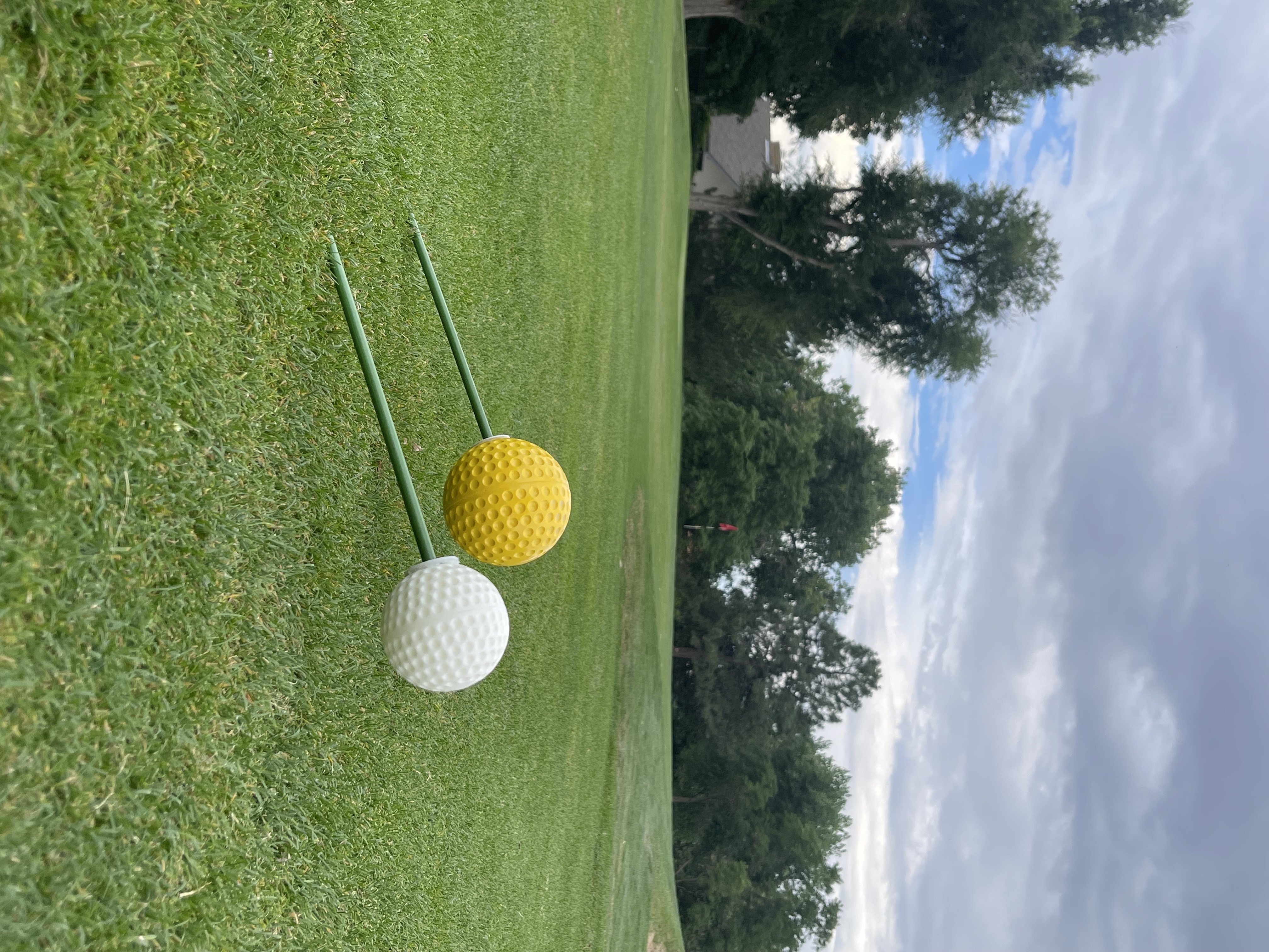 Impact Zone Pro on course